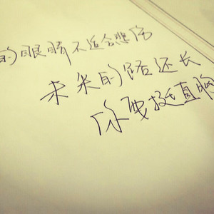 每日大赛在线观看网页版
