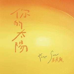 每日大赛在线观看网页版
