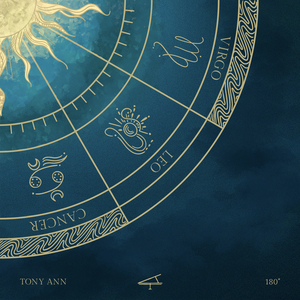 每日大赛在线观看网页版
